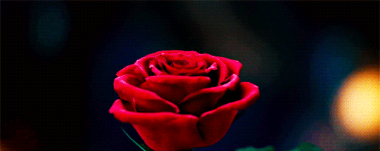 В трудах Шекспира об этом цветке упоминается более пятидесяти раз