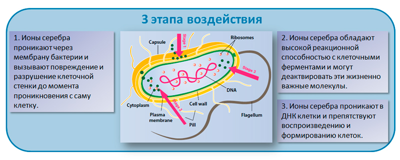 Ионы серебра можно обнаружить