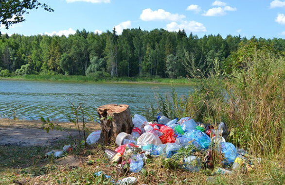 Последствия «дедовских» посиделок