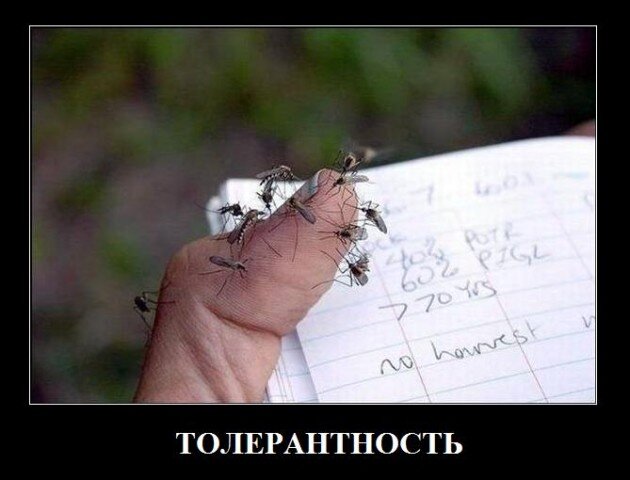  Два раза “ку”, мои малиновые штаны. Межкультурная компетенция - что это такое? Ну, помимо того, что “межкультурная компетенция” - это “толерантность здорового человека”? Эм… на самом деле, этого определения уже достаточно. Межкультурная компетенция, это, буквально, толерантность здорового человека. Ну а ниже кафедра Бакланологии и Прикладной Долбодятлистики объяснит, в чём же важнейшее отличие этих двух понятий.