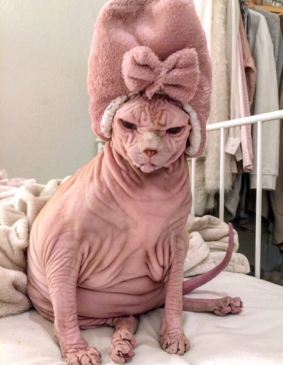 Фото с сайта www.huffpost.com