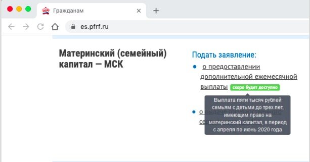 Скриншот из кабинета пенсионного фонда.