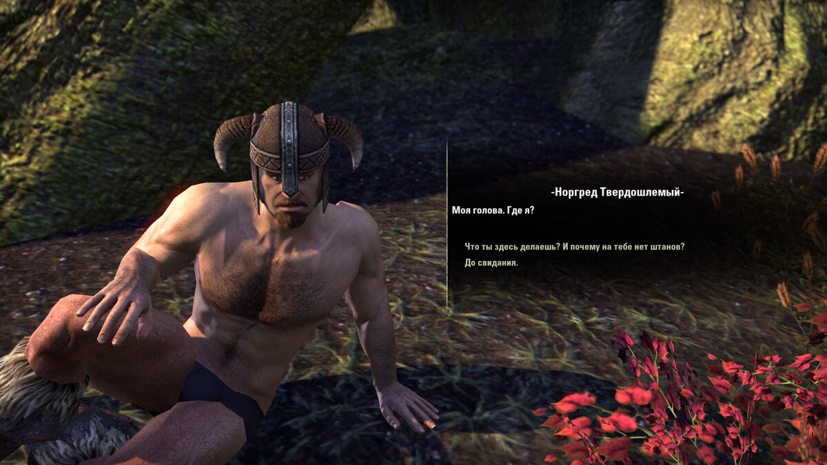 Самые интересные квесты The Elder Scrolls Online: Morrowind | Hanna-kun.  Гик-канал | Дзен