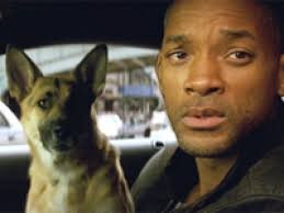 Уилл Смит в роли доктора Роберта Невилла. Сцена из фильма "Я - легенда"