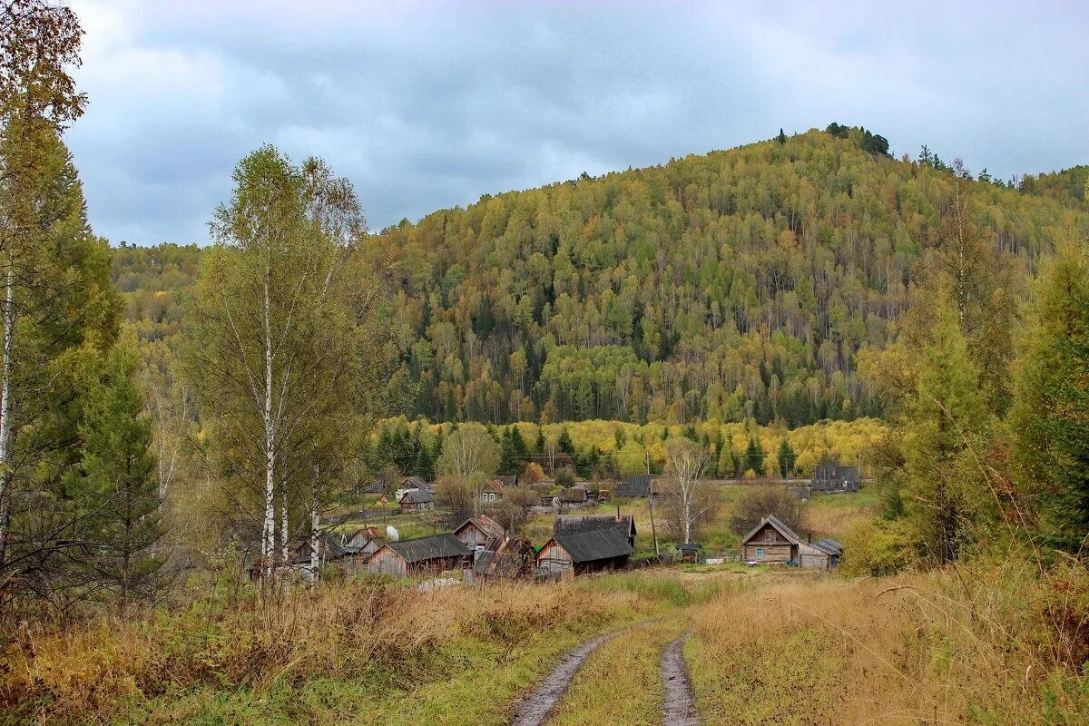 Новый берикуль фото