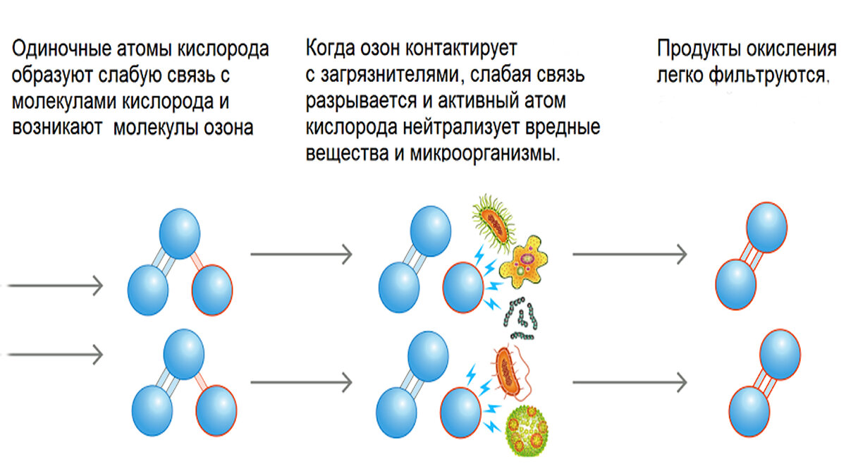 Создание озона