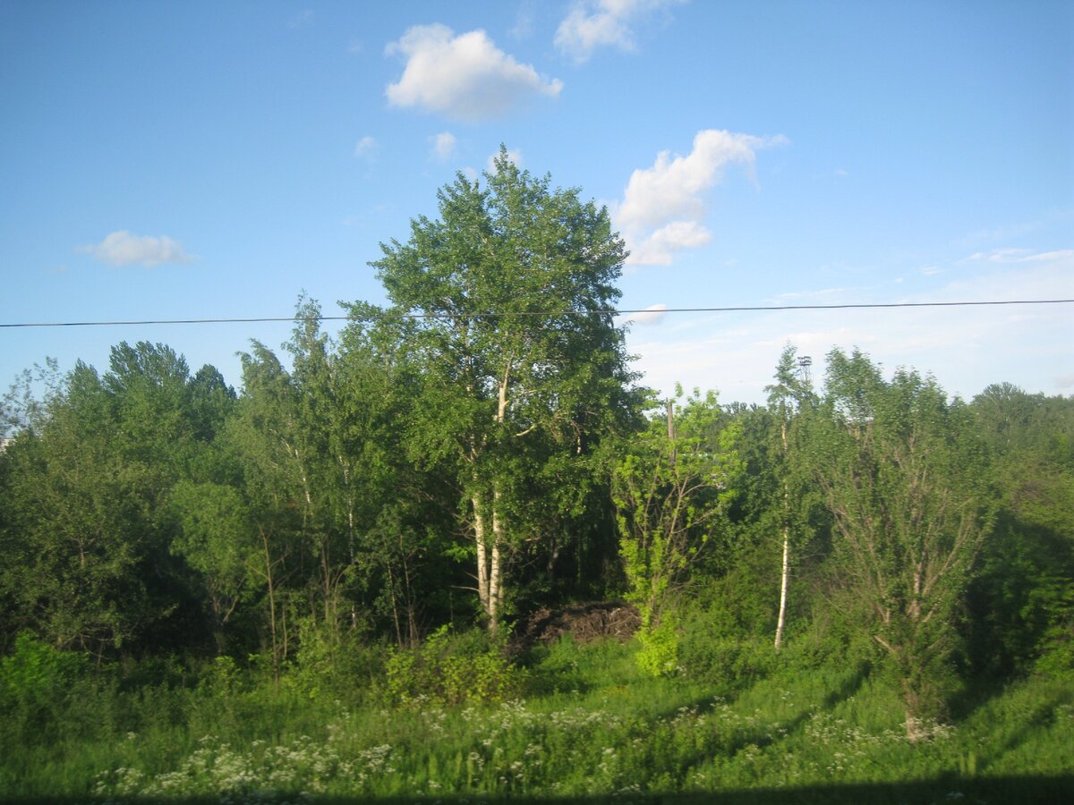 Вид из окна электрички. Фото автора. 