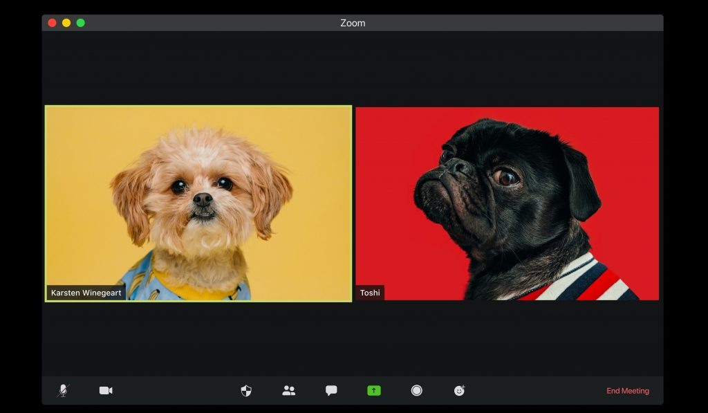 Фото: visuals/Unsplash