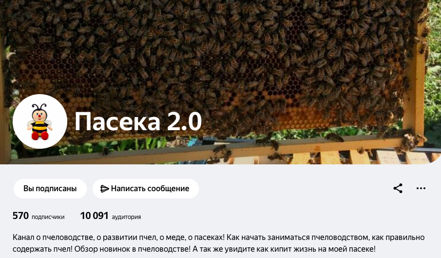 канал "Пасека-2.0" статистика
