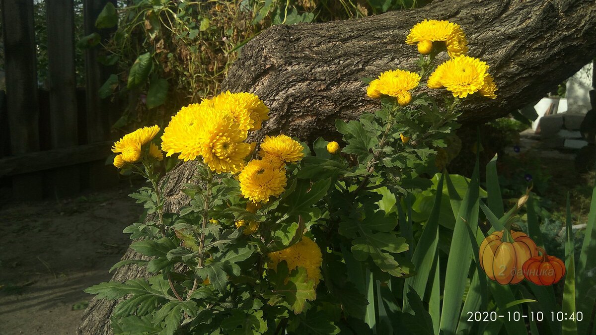 (Листайте➡)