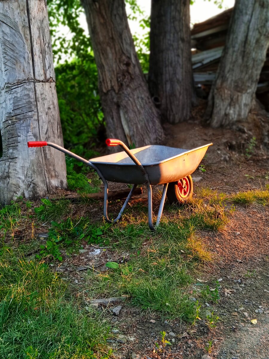 Примерно с такой тележкой мы неизменно видели Здравствуйтекрасавицы