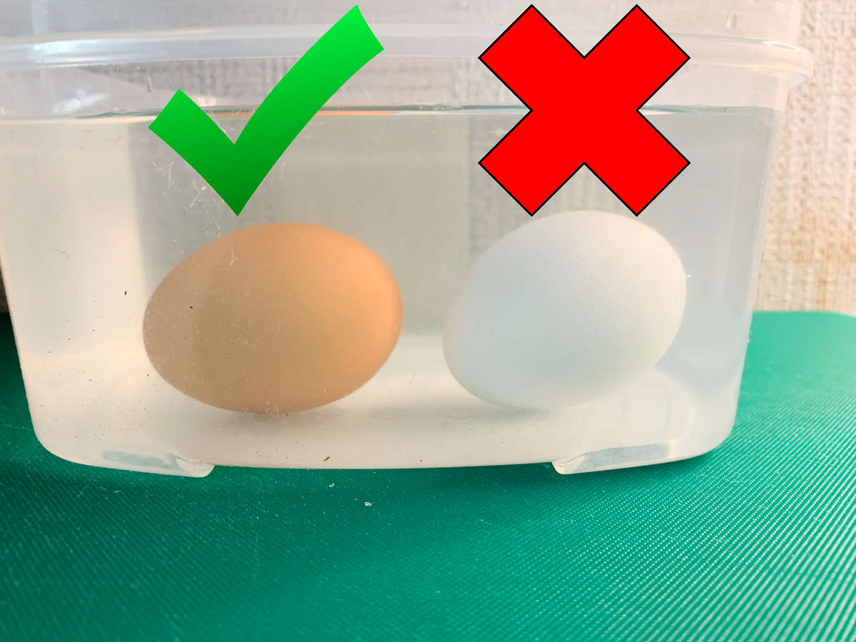 Названы 3 простых способа проверить магазинные яйца на свежесть | Вокруг Света