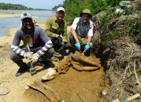 Источник фото: 1rnd.ru