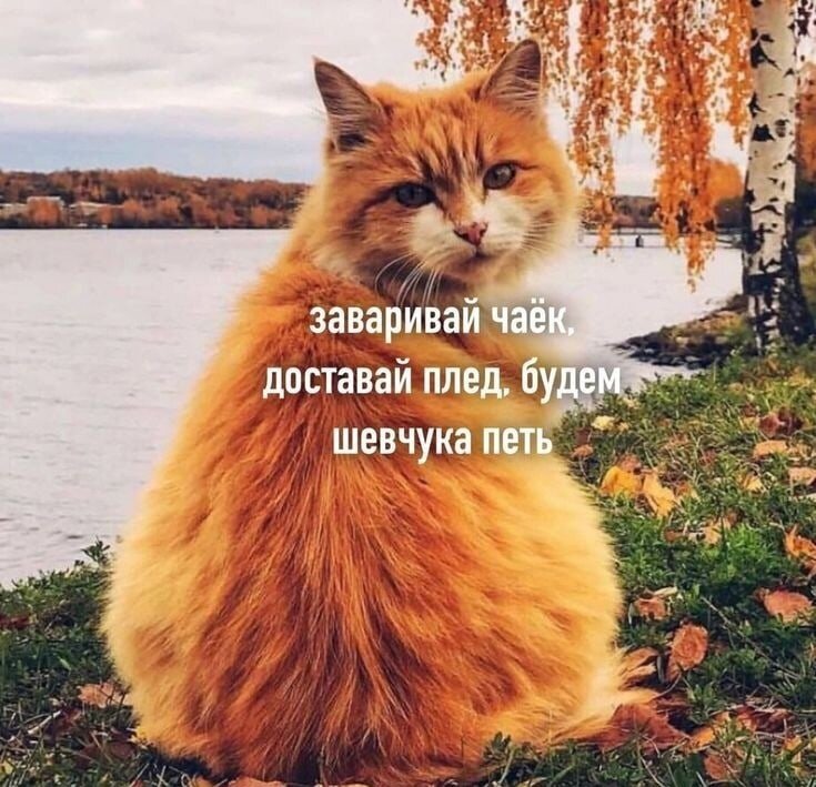 иллюстрация из яндекс картинки