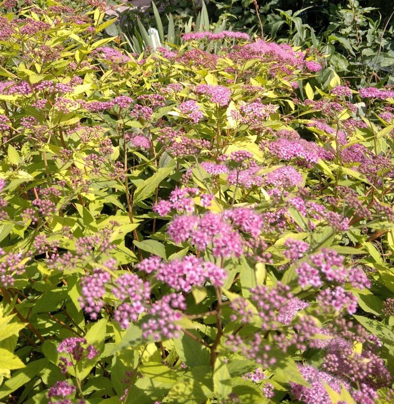 "Это жуткое место. Иллюзия как реальность"...