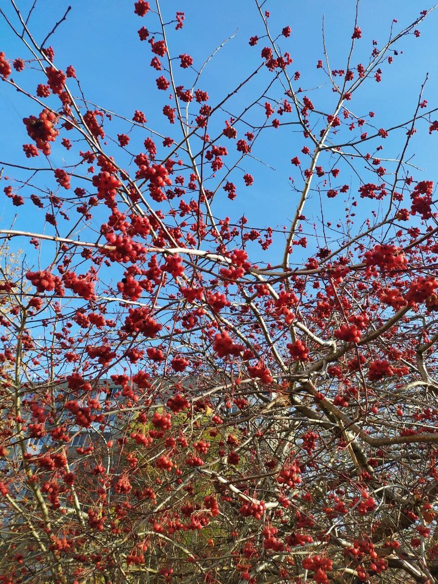 Счастливые моменты 