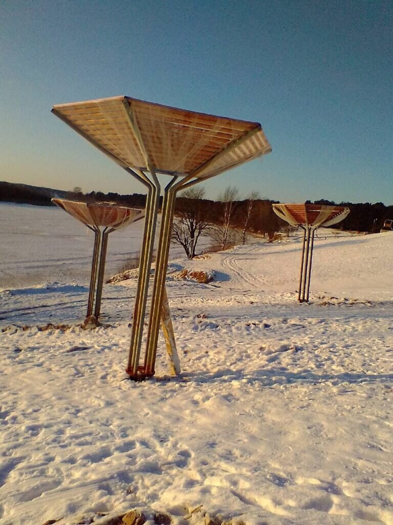 Фото: Анна Шушпанова