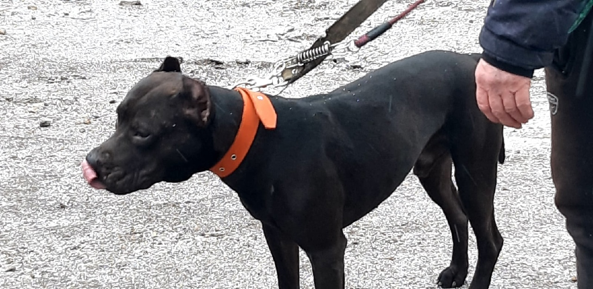 Семья, которая послужила примером