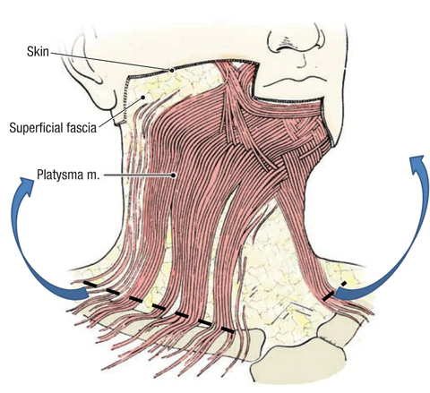 lolacollective - свободный доступ