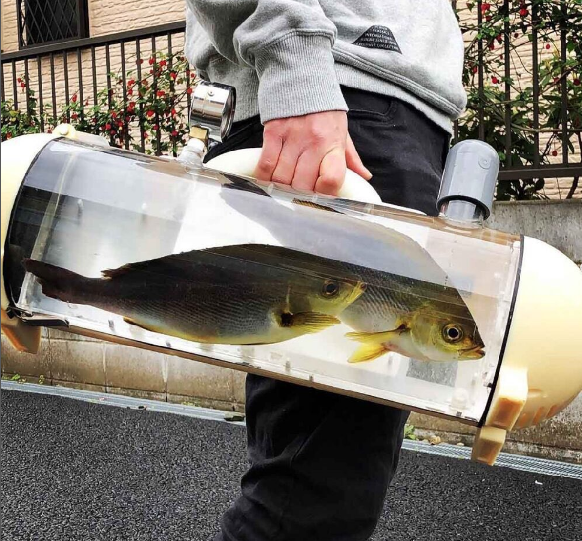 Необычно? Современно!