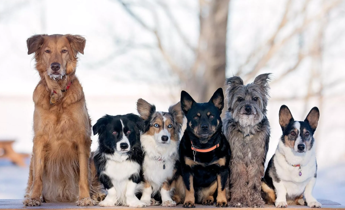 фото взято из открытых источников