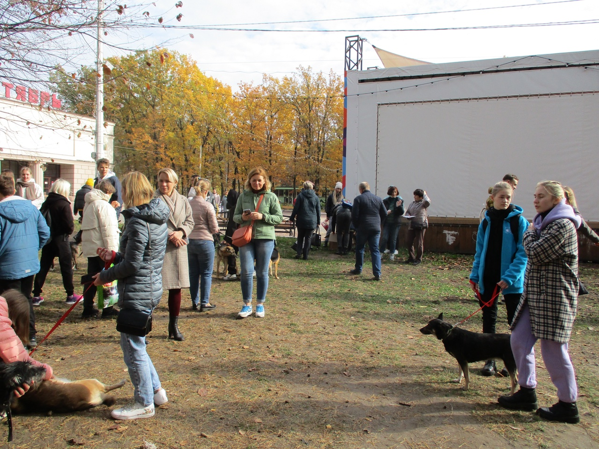 Фото с прошлой выставки- ралздчи