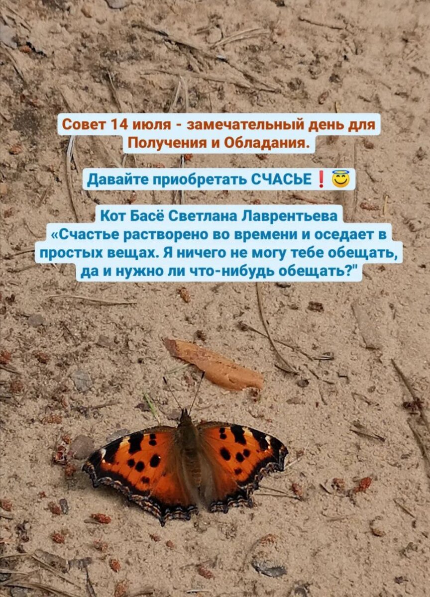 простое счастье на песке.