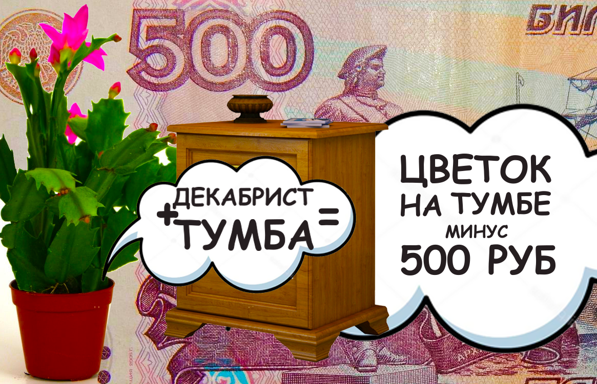 Декабрист +Тумба = Цветок на тумбе минус 500 руб | «С Чердака» | Дзен