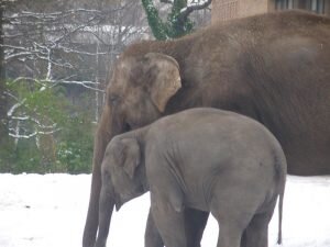    flickr.com Роман Янышев