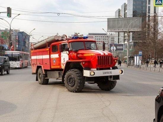     ФОТО ГУСТАВО ЗЫРЯНОВА / "МК В ОМСКЕ"