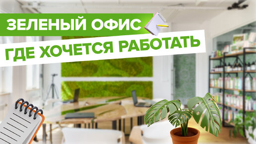 ЗЕЛЕНЫЙ ОФИС, в котором хочется работать 💚 | Экскурсия по офису SYNERGETIC в Нижнем Новгороде