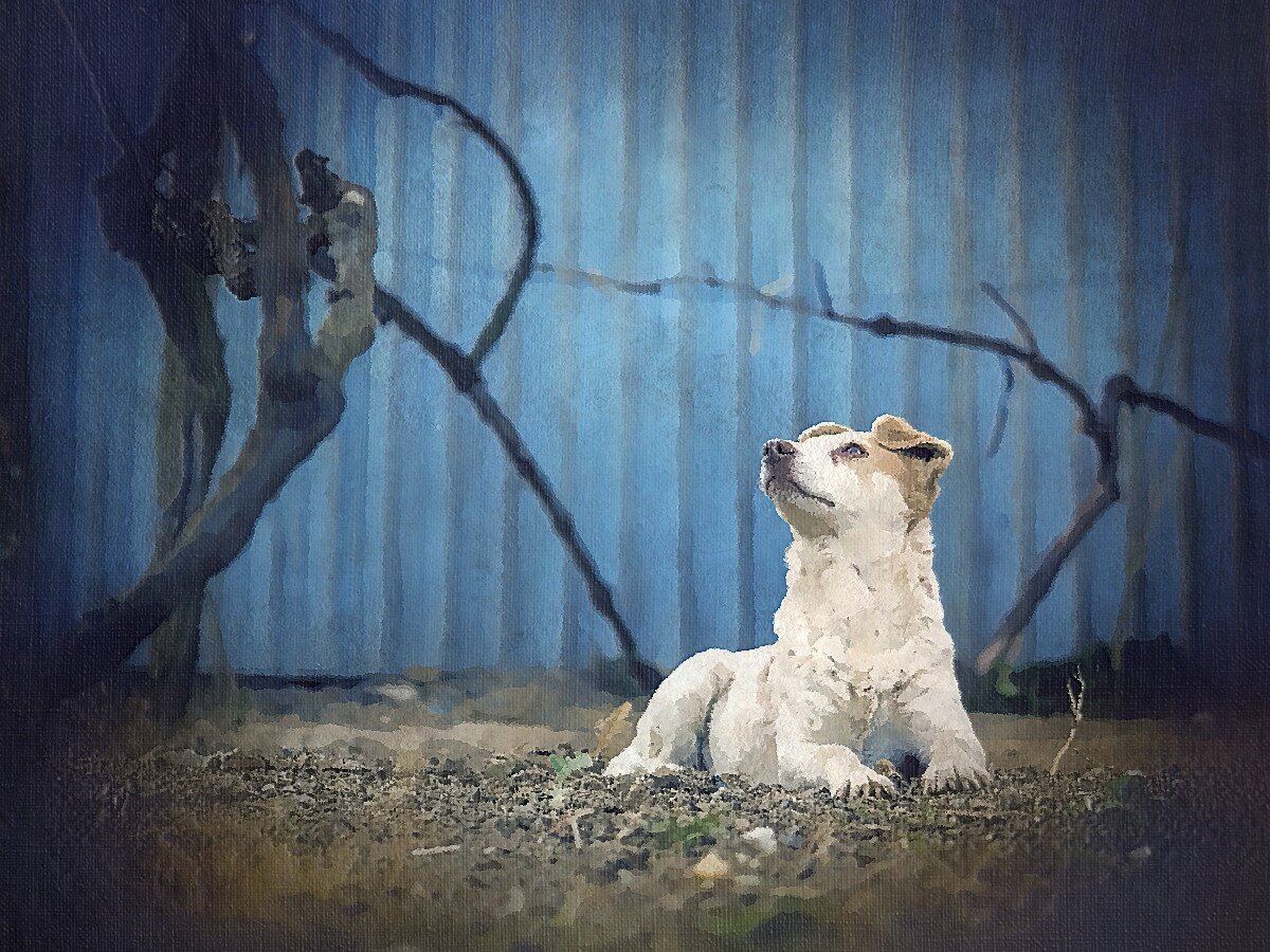 Для иллюстрации использована обработанная фотография с бесплатного фотостока pixabay.com