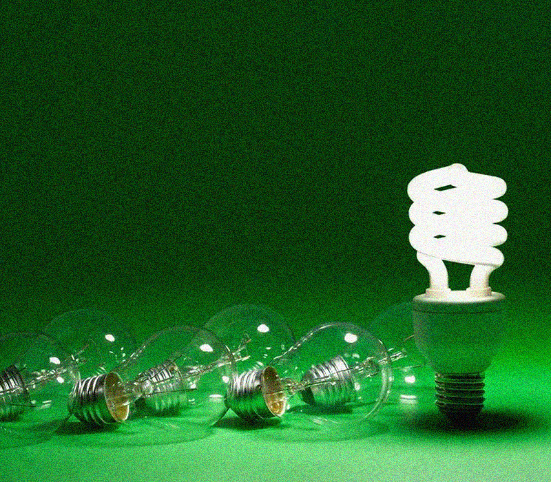 Фотография была взята из открытых интернет источников