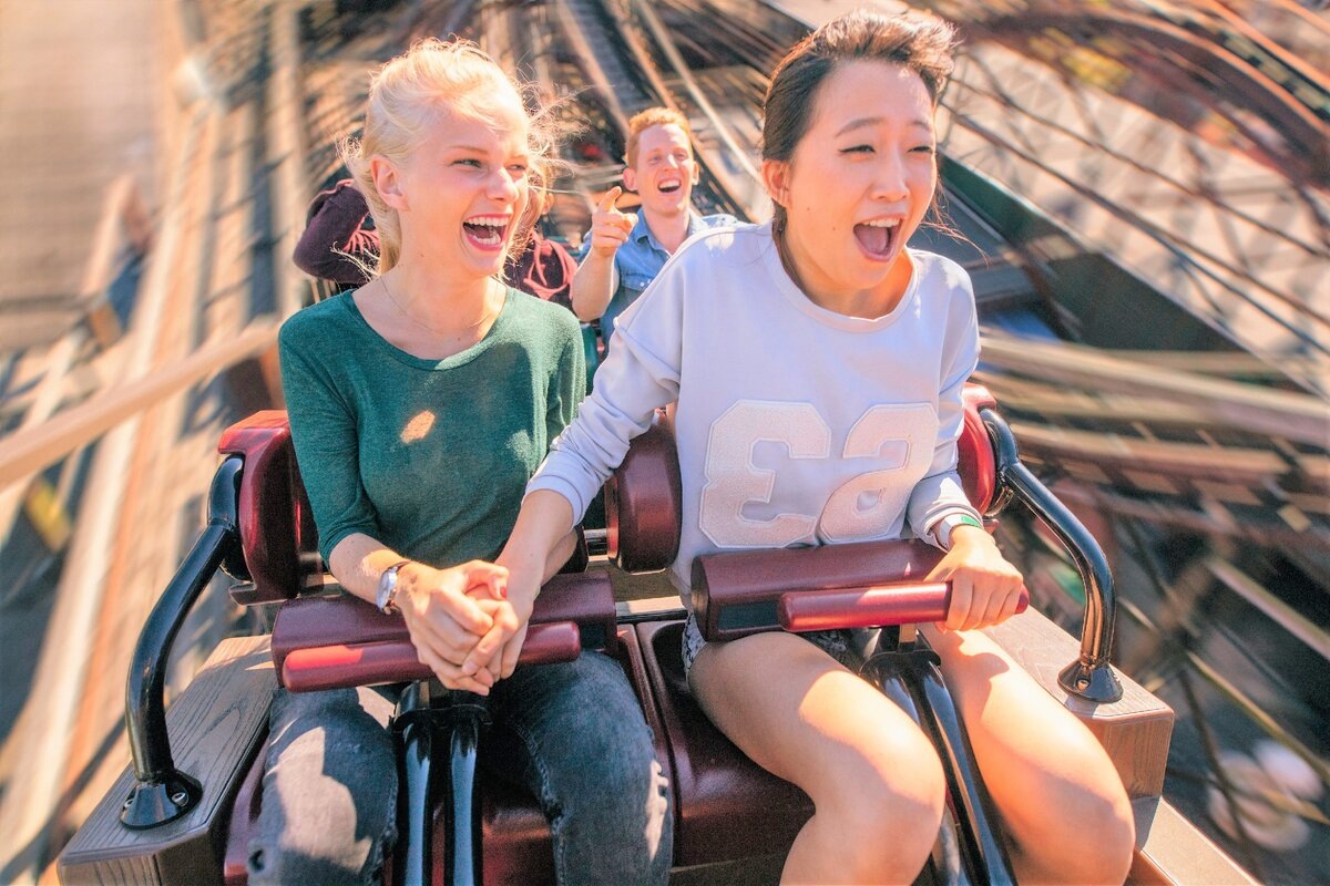 Картинка из открытого доступа сети интернет