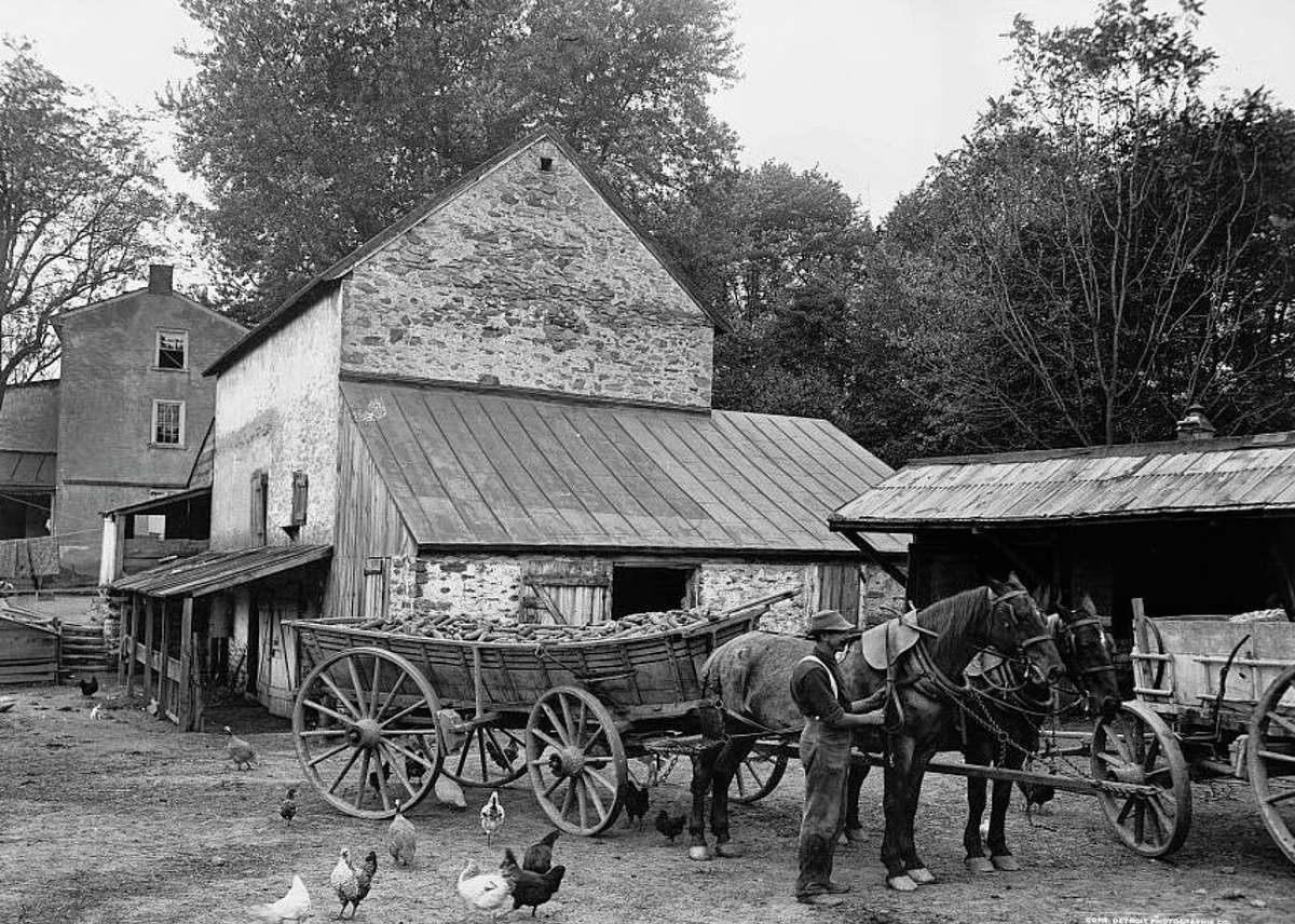 S farm. Ферма США 19 век. Фермерские хозяйства США 19 век. На ферме в Америке 19 век. Сельское хозяйство в США В 19 веке.