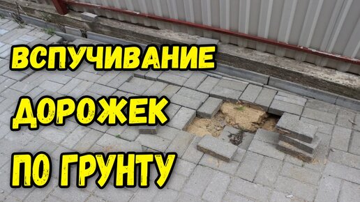 Дорожка из тротуарной плитки на даче: как уложить своими руками | Дизайн участка (баштрен.рф)