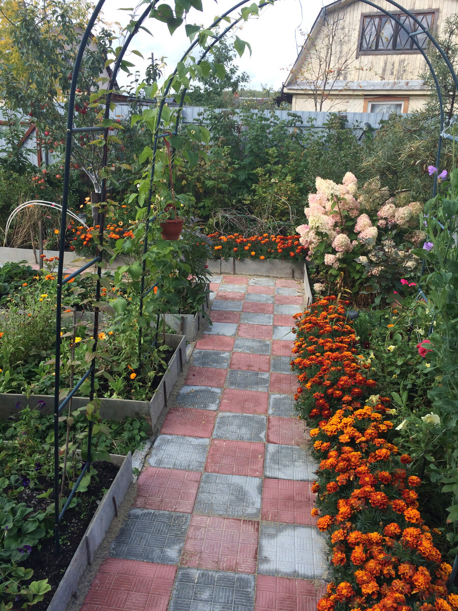 Неделю как уложил.