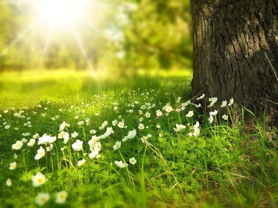     Фото: pixabay.com