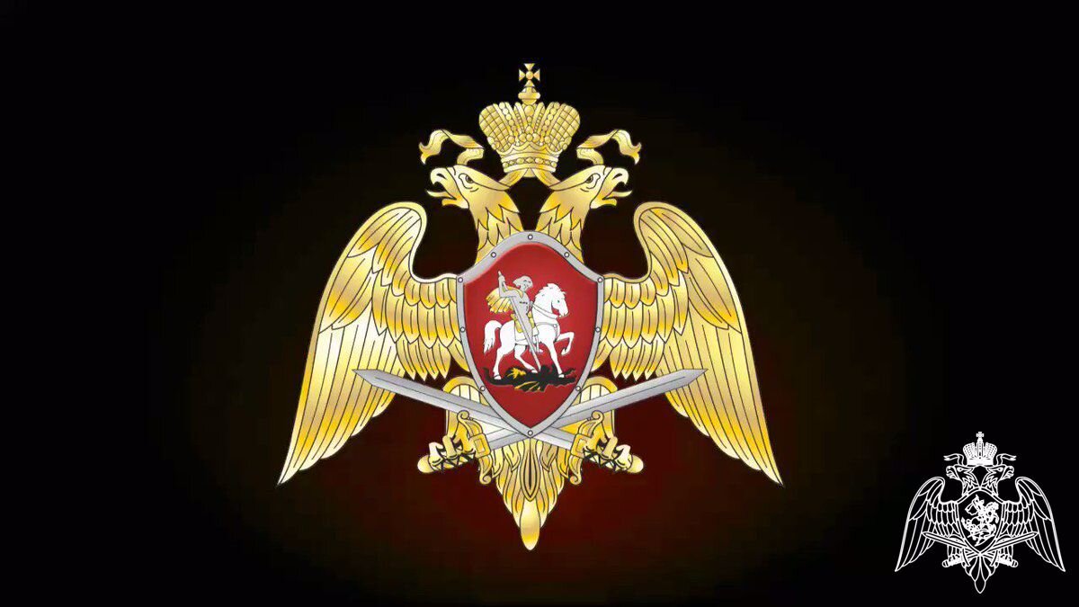 Росгвардия логотип. Герб войск национальной гвардии РФ. Орел ВНГ РФ. Эмблема ФС ВНГ РФ. Орел войск национальной гвардии