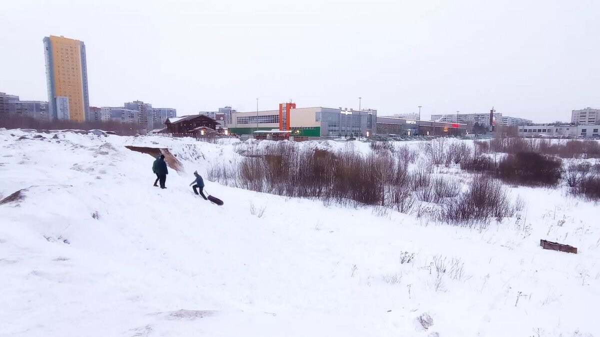 Фото: «Толк»