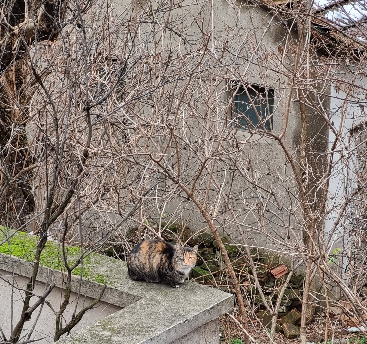 Остальные фото в карусели