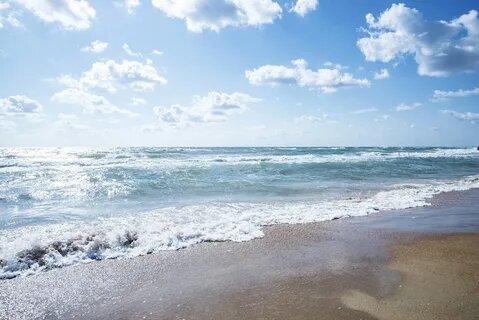 Картинка из интернета