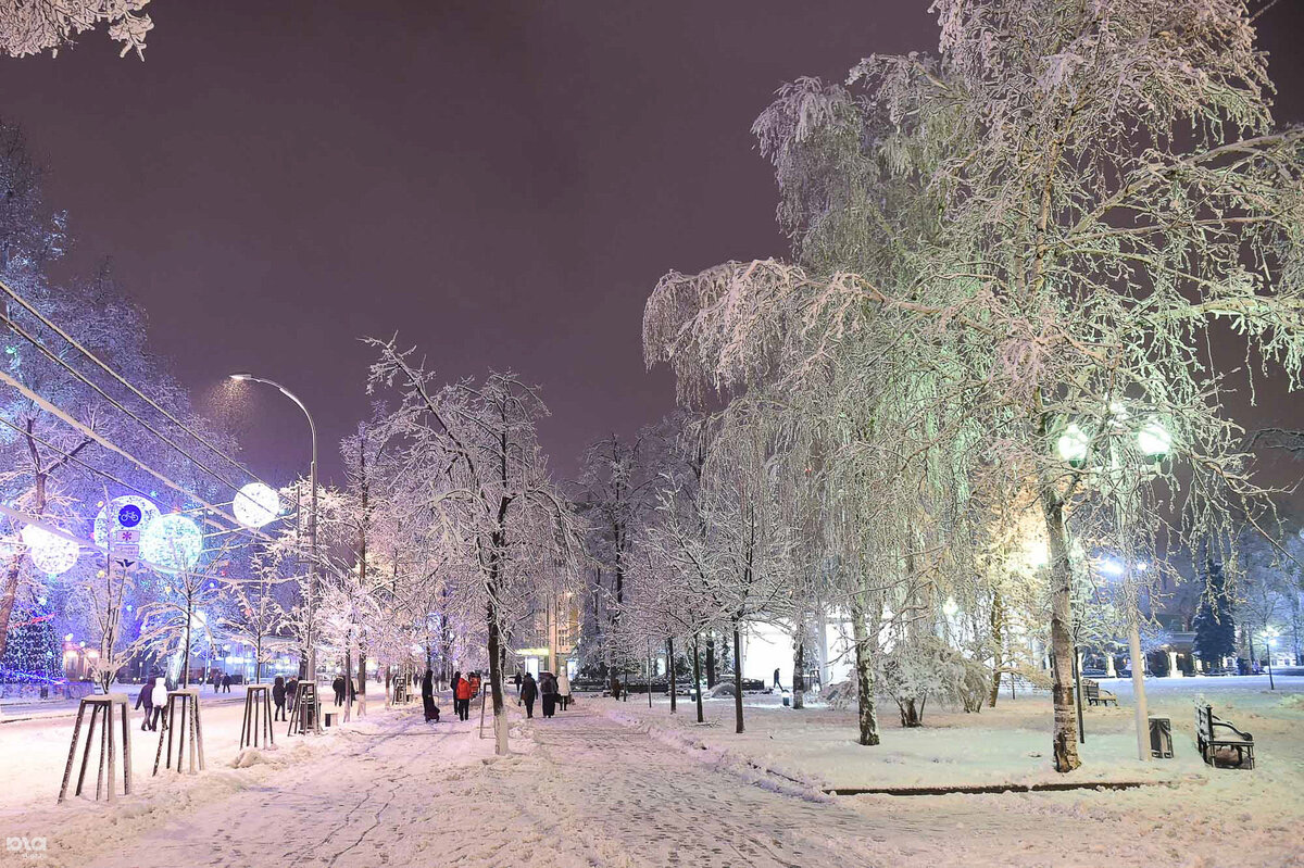 Зима в Краснодаре - погода, отзывы, фото