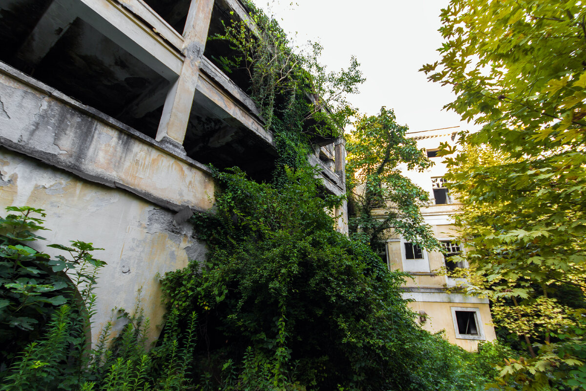 Многие корпуса Института стоят заброшенными среди райской Абхазской растительности. 