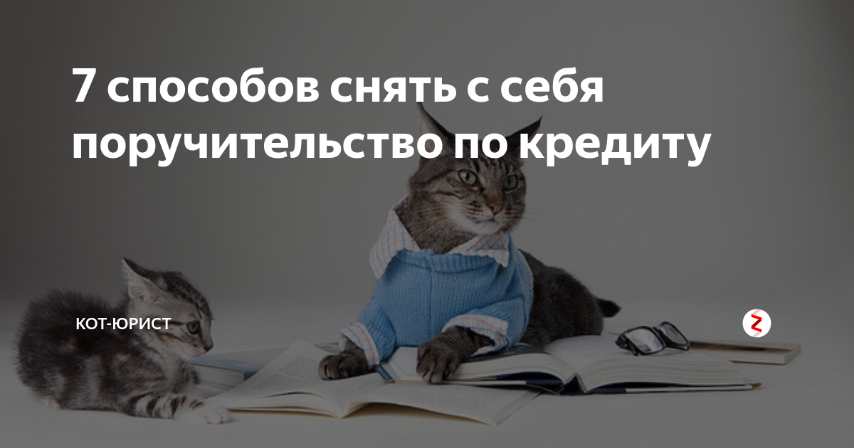 Картинки кот юрист