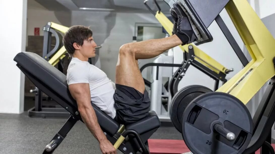 Leg exercises Bodybuilding