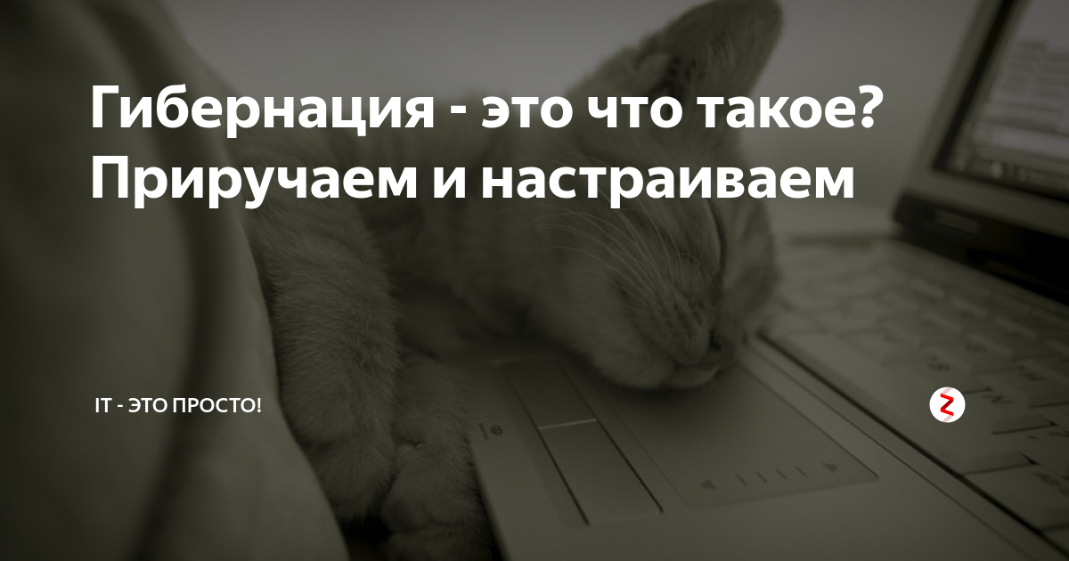 гибернация и сон отличия