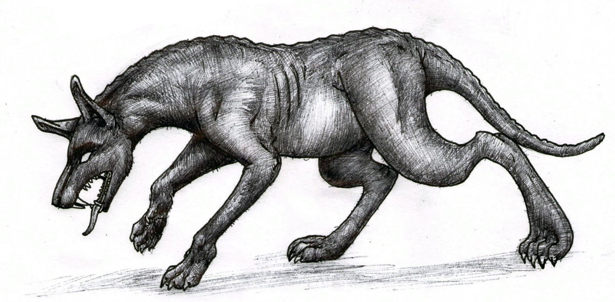 изображение взято с сайта https://www.ufoinsight.com    