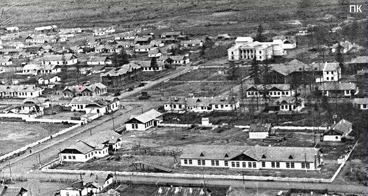 Синий йод - элексир, спасавший жизни | РУССКИЙ СЛЕДОПЫТ | Дзен