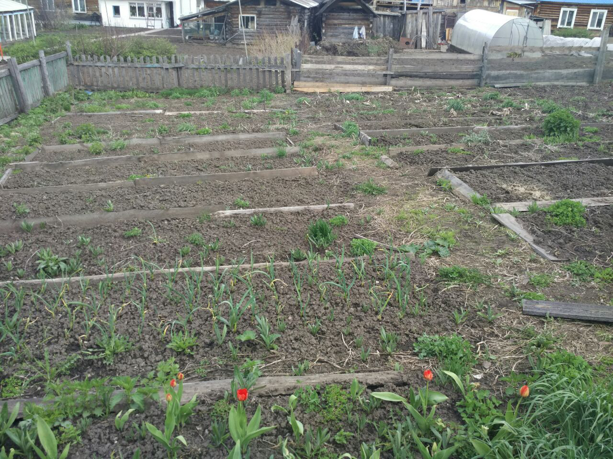 Как положено + фото "до"  